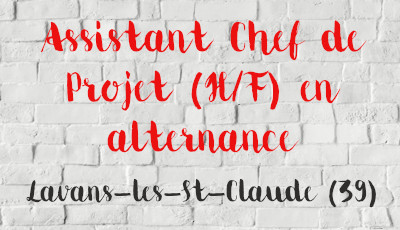 Assistant Chef de Projet